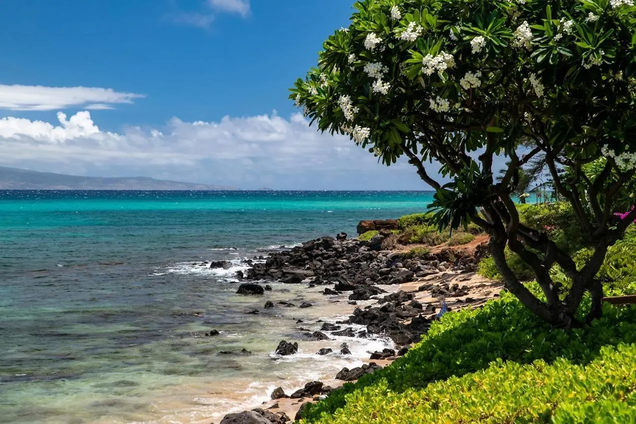 Kuleana Resort 401 Kahana United States